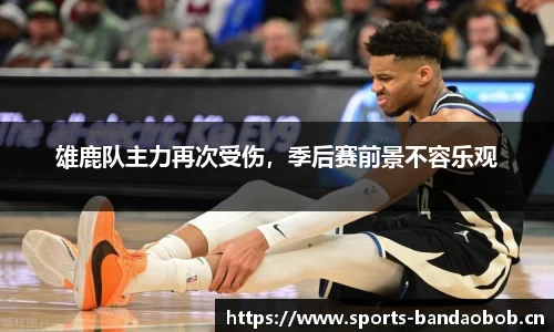 雄鹿队主力再次受伤，季后赛前景不容乐观