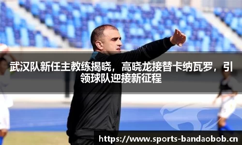 武汉队新任主教练揭晓，高晓龙接替卡纳瓦罗，引领球队迎接新征程